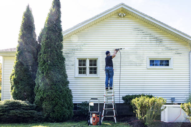 Best Exterior Home Cleaning  in Stafford Courthouse, VA