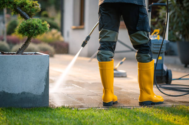 Best Best Pressure Washing Companies  in Stafford Courthouse, VA